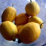 Descubre los beneficios del limón dentro del sector cosmético