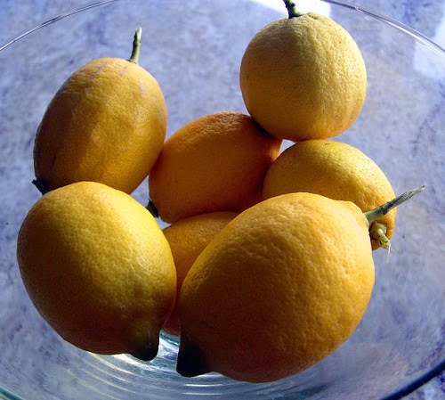 limon-cosmetica